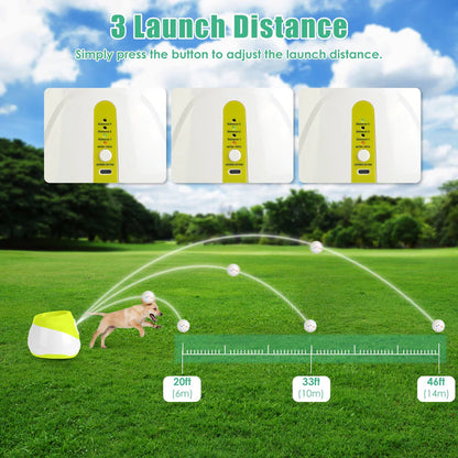 Automatic Dog Ball Launcher