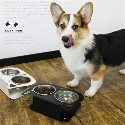Anti-Falling Cat &amp; Dog Feeding Water Bowl