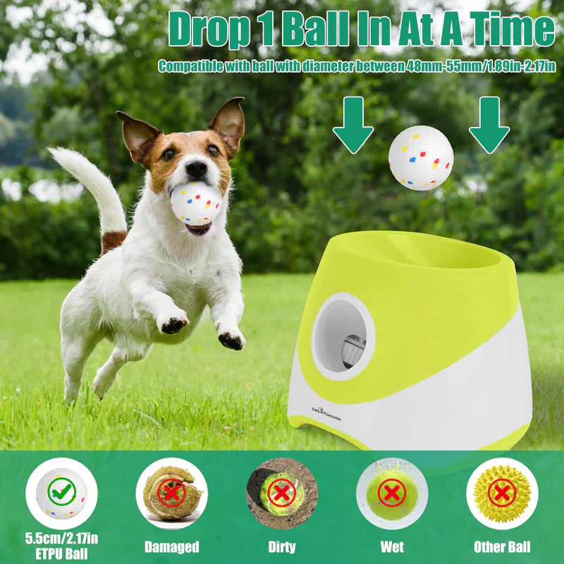 Automatic Dog Ball Launcher