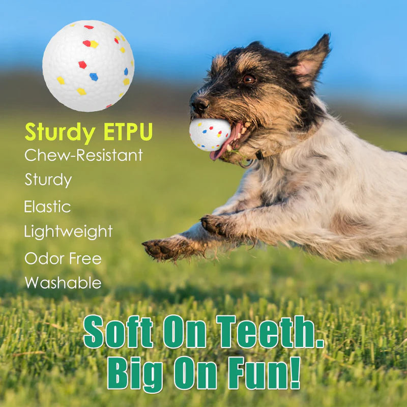 Automatic Dog Ball Launcher