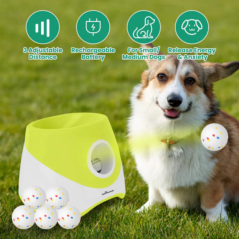 Automatic Dog Ball Launcher